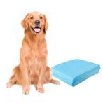 Tweedekans | Coast Puppy Wegwerp Training Pads -, Dieren en Toebehoren, Ophalen of Verzenden, Nieuw