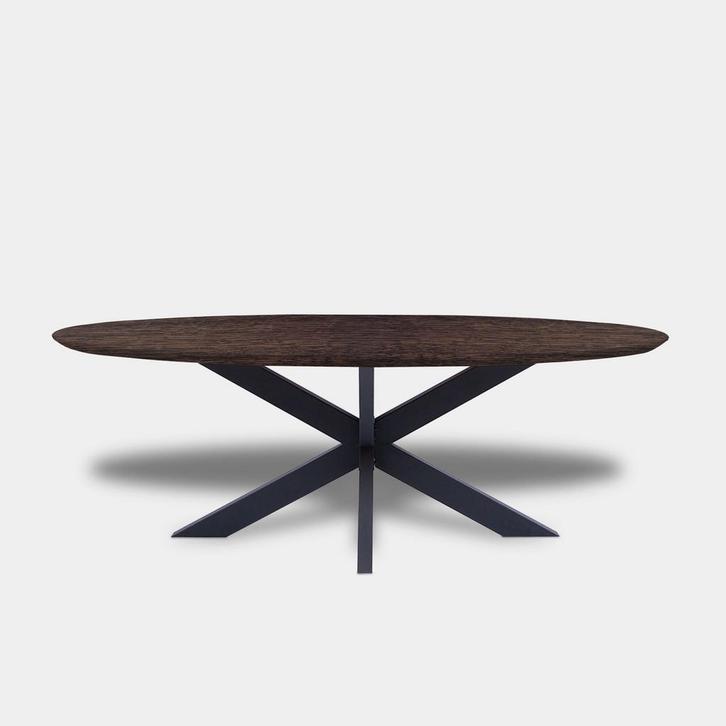 Tafel Ovaal Eikenhout  Matrix XL  280x115, Huis en Inrichting, Tafels | Eettafels