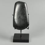 Mexico - Westkust Steen Kelt - 9.4 cm