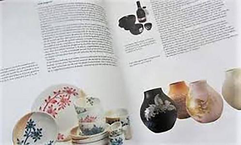 Hedendaagse Keramiek in Nederland 9789080381049 P. Augustijn, Boeken, Kunst en Cultuur | Fotografie en Design, Zo goed als nieuw