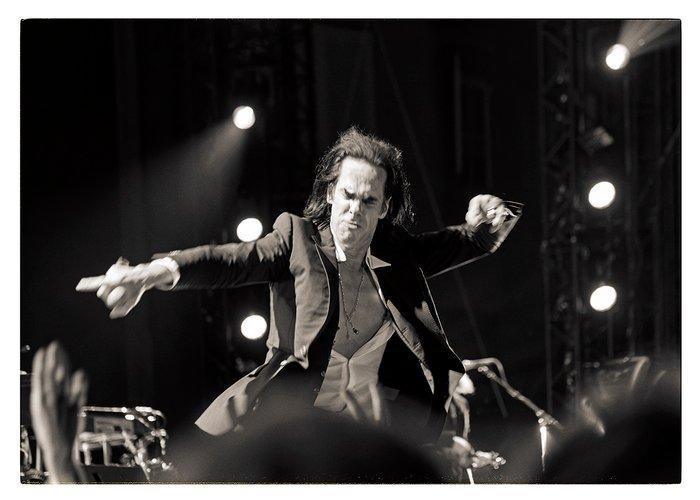 Roberto Cavalli (1971) - Nick Cave, Straight to you / #514 -, Antiek en Kunst, Kunst | Designobjecten