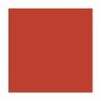 Koraal Rood glans 500 gram Poedercoat poeder, Auto diversen, Nieuw, Verzenden