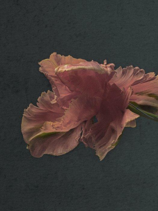 Ursula van de Bunte - Afterglow, Antiek en Kunst, Kunst | Designobjecten