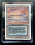 Wizards of The Coast - Magic: The Gathering - Trading card -