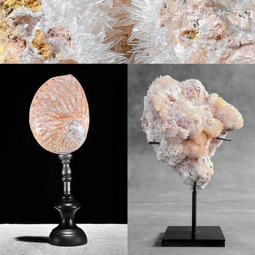 Ornement décoratif (2) - NO RESERVE PRICE - Wonderful Pair, Antiek en Kunst, Kunst | Designobjecten