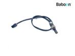 Lambda Sonde Triumph Street Triple R 675 2013->, Motoren, Verzenden, Gebruikt