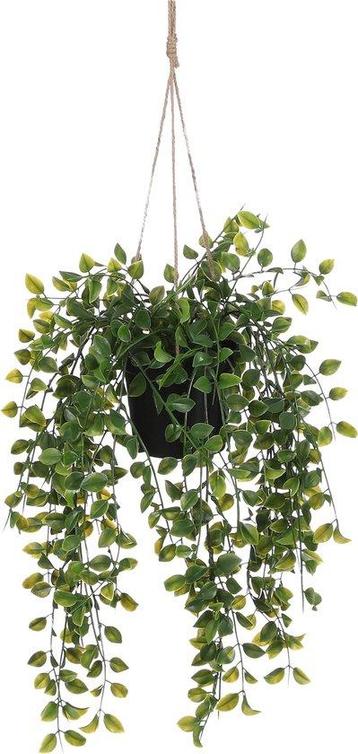 Tweedekans | Mica Decorations Ficus Kunst Hangplant in Pot - beschikbaar voor biedingen