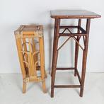 Plantentafel (2) - Rattan, rattan webbing - Vintage, Antiek en Kunst