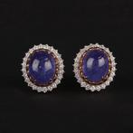 Oorbellen - 18 karaat Roségoud - 12.59ct. tw. Tanzaniet -, Nieuw
