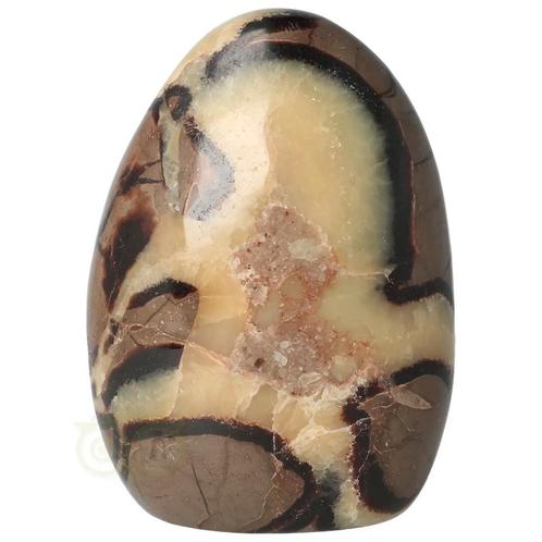 Septarie sculptuur Nr 23 - 799 gram - Madagaskar, Handtassen en Accessoires, Edelstenen, Nieuw, Verzenden