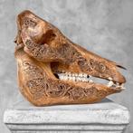 Sans prix de réserve - Authenticement en patine brune,