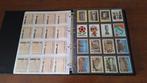 Panini Europa 80 - 245 Sticker - Excellent (EX), Verzamelen, Nieuw