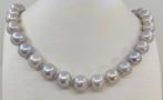 Collier Perles deau douce Edison rondes, grandes, gris, Nieuw