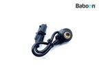 Nokkenas Sensor Ducati Multistrada 1260 2018-2021 (MTS1200), Motoren, Onderdelen | Ducati, Verzenden, Gebruikt