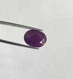 Zonder Minimumprijs Rood Robijn - 12.47 ct - Lotus Gemology, Nieuw