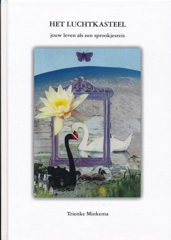 Het Luchtkasteel 9789463234337 Trienke Minkema, Boeken, Esoterie en Spiritualiteit, Gelezen, Verzenden