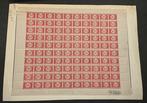 België 1919 - Strafportzegel 10 centimes Karmijnroze - T15 -