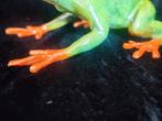 Sculpture, Green orange frog - 15 cm - bronze, émaillé