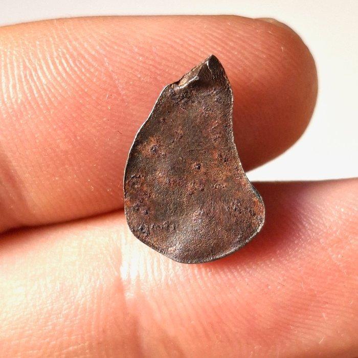 Super georiënteerde Taza-meteoriet. In verzameldoos. - 1.5 g, Verzamelen, Mineralen en Fossielen