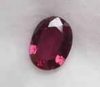Rood Robijn - 1.34 ct - Lotus Gemology, Handtassen en Accessoires, Edelstenen, Nieuw