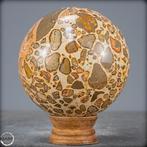 Jaspe Léopard Naturel sphère- 1323.63 g, Verzamelen