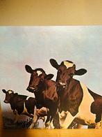 Pink Floyd - Atom Heart Mother - Disque vinyle - Pressage, Nieuw in verpakking