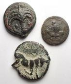 Griekenland (oud). Lot of 3 Æ coins Arpi. Punic. Himera. 5th