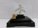 De boom van de den van Sterling zilver. Bonsai boom. #36 g /, Antiek en Kunst