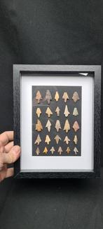 Museum Nord Africa prehistory collection of flint arrowheads