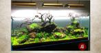Jiang Jing stone 10-20cm - aquarium decoratie stenen, Dieren en Toebehoren, Verzenden, Nieuw
