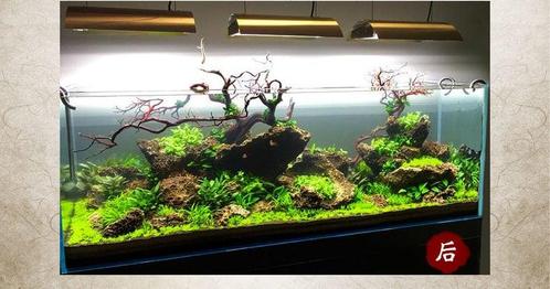Jiang Jing stone 10-20cm - aquarium decoratie stenen, Dieren en Toebehoren, Vissen | Aquaria en Toebehoren, Nieuw, Verzenden