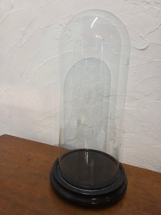 Globe - stolp - antiek - 1901-1920 - Antieke ronde stolp op, Antiek en Kunst, Kunst | Niet-Westerse kunst