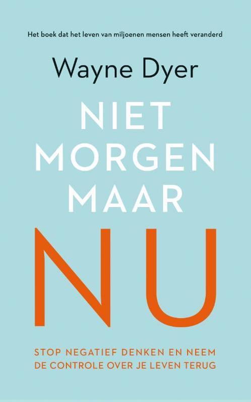 Niet morgen, maar nu 9789022992876 Wayne W. Dyer, Boeken, Psychologie, Gelezen, Verzenden