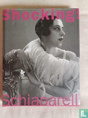 Blum, Dilys E. - Shocking! - 2003, Boeken, Kunst en Cultuur | Beeldend, Zo goed als nieuw, Overige onderwerpen, Verzenden
