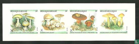 België - Paddenstoelen - 1991, Postzegels en Munten, Postzegels | Europa | België, Postfris, Verzenden