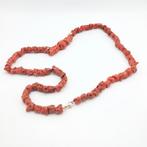 Bloedkoraal Koraal - Corallium rubrum (Zonder Minimumprijs), Nieuw