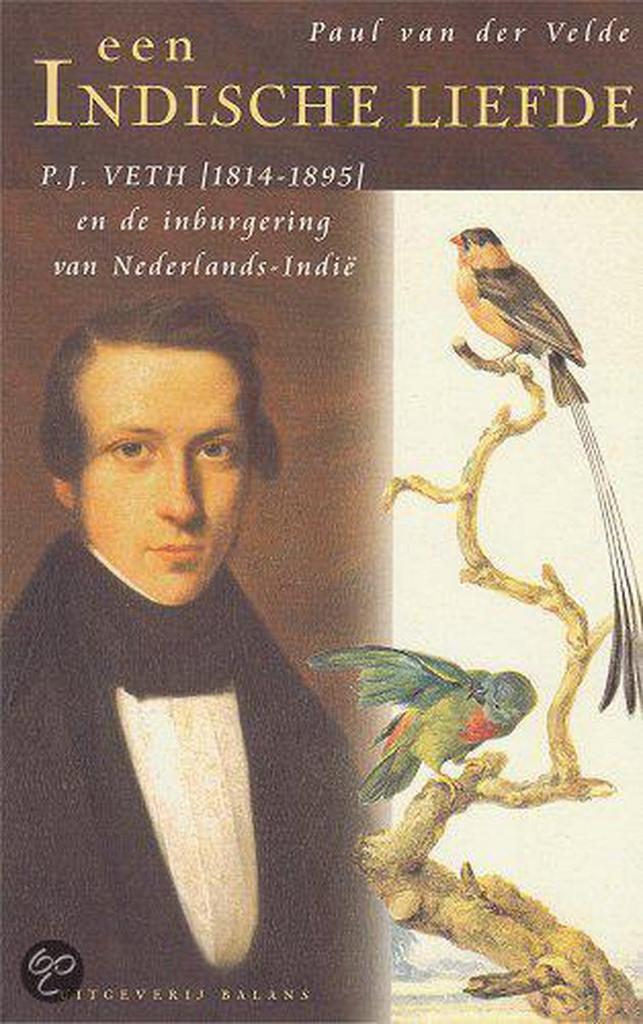 Een Indische liefde 9789050185295 P. van der Velde, Boeken, Geschiedenis | Wereld, Gelezen, Verzenden