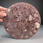 Disque décoratif en ammonites - Coquillage fossilisé -, Collections, Minéraux & Fossiles