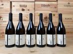2022 Donna Olimpia 1898, Bianco - Bolgheri DOC - 6, Verzamelen, Nieuw