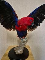edelpapegaai Taxidermie volledige montage - Eclectus roratus, Verzamelen, Nieuw