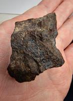 Koolstofhoudende meteoriet CO3, NWA 16415. Reserveer geen