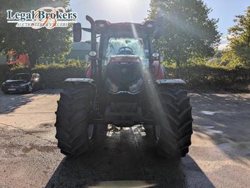 Case IH Maxxum 145 - Tractor beschikbaar voor biedingen