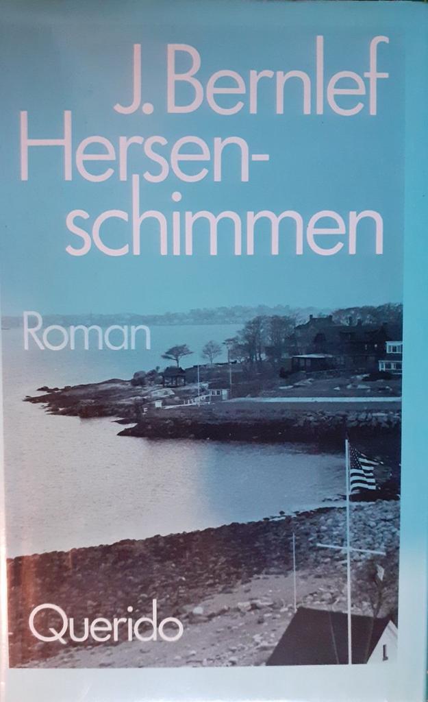 Hersenschimmen 9789021451848 J. Bernlef, Livres, Romans, Envoi