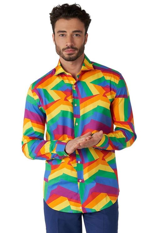Zig Zag Regenboog Overhemd Heren OppoSuits, Vêtements | Hommes, Costumes de carnaval & Vêtements de fête, Envoi
