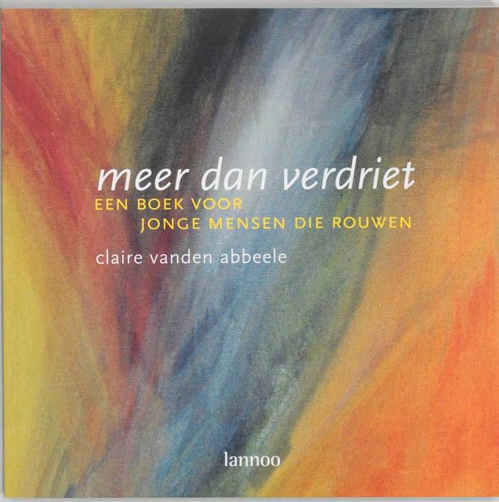 Meer dan verdriet 9789020957228 C. vanden Abbeele, Boeken, Politiek en Maatschappij, Zo goed als nieuw, Verzenden