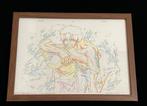 ONE PIECE - 1 Framed Drawing Manuscript, Reproduction