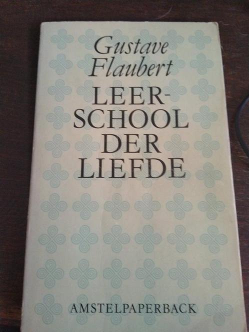 Leerschool der liefde 9789020453911 Gustave Flaubert, Boeken, Romans, Gelezen, Verzenden