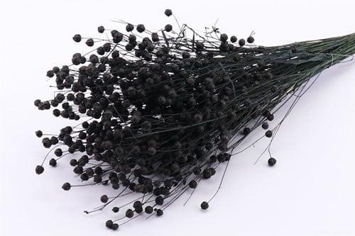 Vlas Flax grass Zwart droogbloemen per bundel, Huis en Inrichting, Woonaccessoires | Kunstplanten en Kunstbloemen, Nieuw