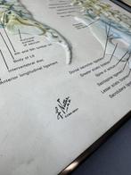 Set van 3 vintage medische 3D-relief posters - Set van 3