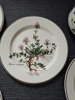 Villeroy & Boch - Service à thé et café (16) - Botanica -